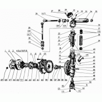 Гайка колеса МТЗ переднего 40-3103017 - фото - 1